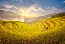 Visiter Mu Cang Chai au Nord du Vietnam – Les plus belles rizières en terrasses du Vietnam Visiter Mu Cang Chai au Nord du Vietnam 1