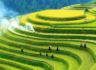 Vol Paris Hanoï pas cher : conseils et astuces pour trouver les meilleures offres Vol Paris Hanoï pas cher