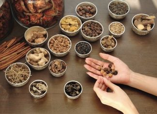 Médecine traditionnelle au Vietnam / Les pharmacies d’herbes traditionnelles et marchés de plantes médicinales au Vietnam : un voyage au cœur de la médecine ancestrale Médecine traditionnelle au Vietnam 1