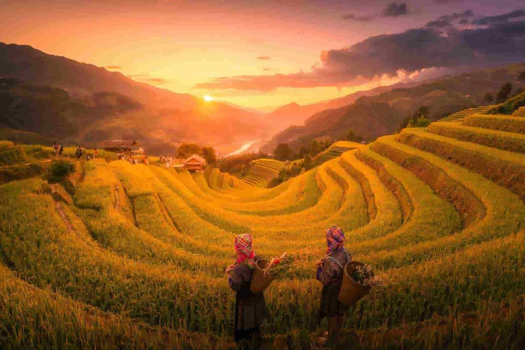 Vietnam du Nord ou du Sud