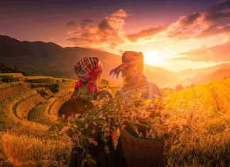 Vol direct Paris Saigon : durée, prix et conseils pratiques pour votre voyage au Vietnam Vol direct Paris Saigon