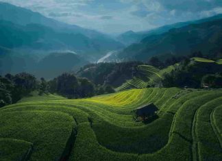 Vol Vietnam Air France : confort, prix et conseils pour voyager depuis la France Vol Vietnam Air France