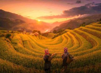 Voyage culturel au Vietnam – Plongez au cœur des traditions et de l’âme vietnamienne avec Voyagesviet Travel Voyage culturel au Vietnam