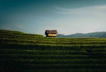 15 jours Vietnam entre paysages grandioses, montagnes et ethnies / Circuit au Nord du Vietnam en 15 jours Circuit au Nord du Vietnam en 15 jours