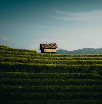 15 jours Vietnam entre paysages grandioses, montagnes et ethnies / Circuit au Nord du Vietnam en 15 jours Circuit au Nord du Vietnam en 15 jours