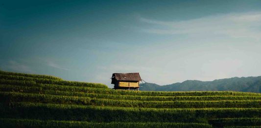 15 jours Vietnam entre paysages grandioses, montagnes et ethnies / Circuit au Nord du Vietnam en 15 jours Circuit au Nord du Vietnam en 15 jours