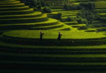 Circuit au Vietnam en été – 15 jours à la découverte du Nord insolite Vietnam Circuit au Vietnam en été