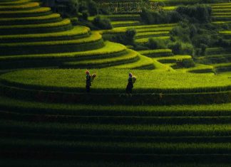 Circuit au Vietnam en été – 15 jours à la découverte du Nord insolite Vietnam Circuit au Vietnam en été