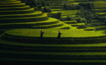 Circuit au Vietnam en été – 15 jours à la découverte du Nord insolite Vietnam Circuit au Vietnam en été