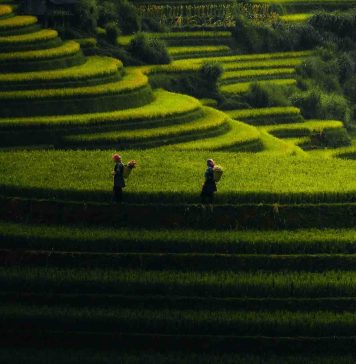 Circuit au Vietnam en été – 15 jours à la découverte du Nord insolite Vietnam Circuit au Vietnam en été