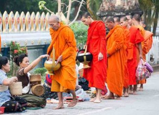 Circuit combiné Vietnam Laos en 18 jours : Entre rizières, traditions et spiritualité Circuit combiné Vietnam Laos en 18 jours
