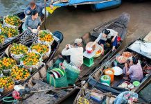 Circuit Vietnam 12 jours / Rizières du Nord, Baie d’Halong & Mékong authentique : le Vietnam en 12 jours de voyage inoubliable Circuit Vietnam 12 jours