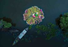 Circuit Vietnam famille 15 jours – Voyage ludique et culturel du Nord au Sud du Vietnam. Vietnam famille 15 jours