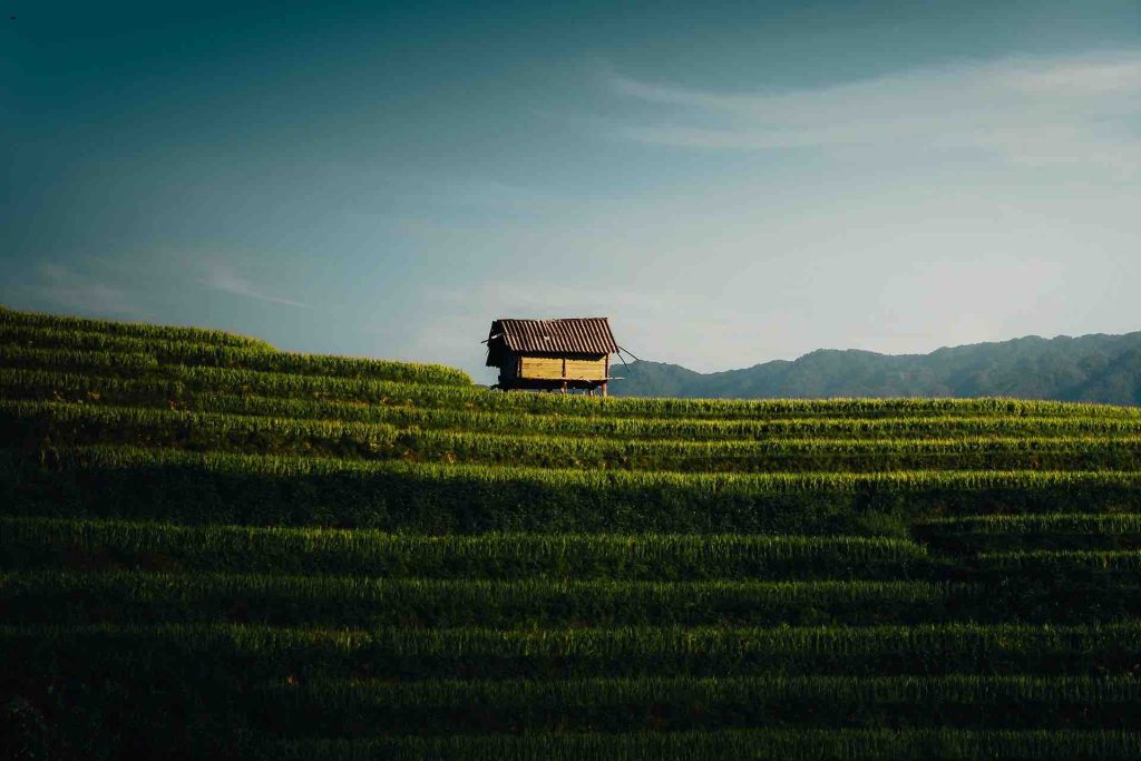 Climat au Vietnam
