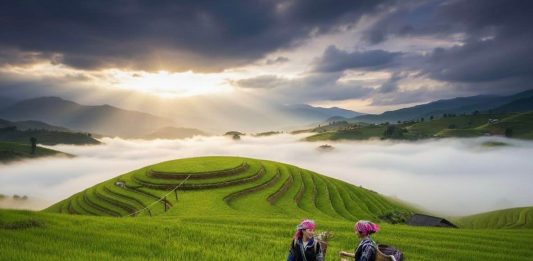 Grande traversée du Vietnam Authentique du Nord au Sud – 21 jours d’expériences uniques du Haut Tonkin au Mékong circuit nord sud vietnam