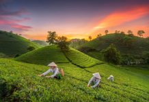 Voyage au cœur du Nord Vietnam 20 jours d’immersion, de randonnées et de rencontres ethniques entre peuples, montagnes et traditions circuit nord vietnam 20 jours