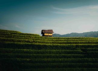 Climat et saisons au Vietnam : bien choisir sa période de voyage au Vietnam Climat au Vietnam