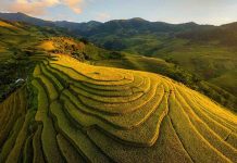 Nord, Centre ou Sud du Vietnam : quelle région choisir pour votre voyage au Vietnam ? Nord Centre ou Sud du Vietnam