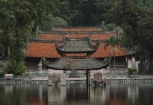 Vietnam en janvier : météo, recommandations, idées d’itinéraires et lieux incontournables Voyager au Vietnam en janvier