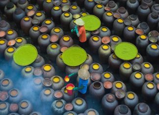 Savoir-vivre au Vietnam : guide des règles de politesse et comportements à adopter règles de politesse au Vietnam