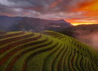 Voyage solo au Vietnam : sécurité, conseils et destinations pour partir seul(e) en toute confiance Voyager seul au Vietnam