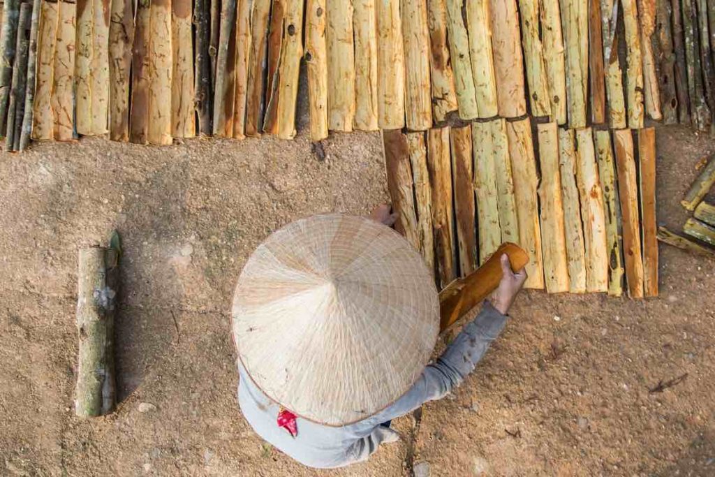 Vietnam femme seule voyage