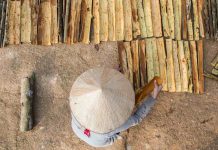 Voyager seule au Vietnam : Guide pratique pour les femmes / Conseils pour voyager seule en toute sécurité Vietnam femme seule voyage