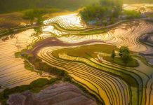 Séjour Vietnam / Guide du Vietnam : Préparer et réussir son séjour de rêve au Vietnam Séjour Vietnam