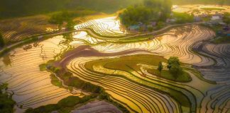 Séjour Vietnam / Guide du Vietnam : Préparer et réussir son séjour de rêve au Vietnam Séjour Vietnam