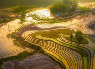 Séjour Vietnam / Guide du Vietnam : Préparer et réussir son séjour de rêve au Vietnam Séjour Vietnam