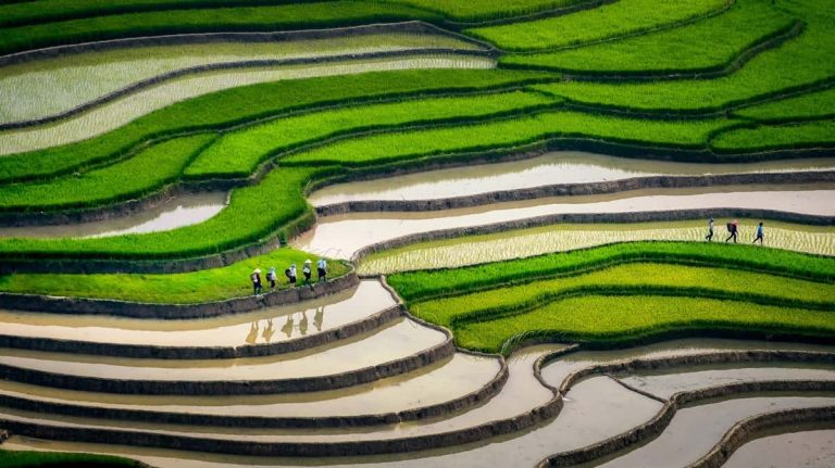 Les plus beaux treks du nord du Vietnam : guide pour une expérience inoubliable