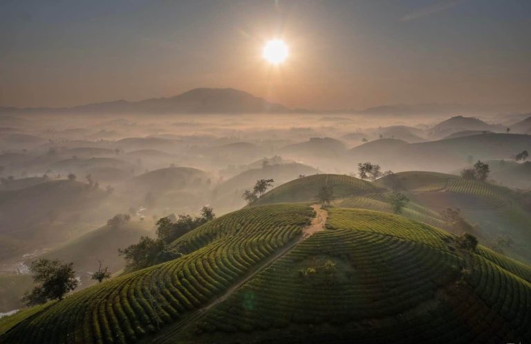 Vietnam hors des sentiers battus : guide complet pour un voyage riche en expériences