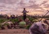 Les incontournables du Vietnam : guide complet pour un voyage inoubliable Quels sont les incontournables au Vietnam