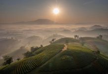 Vietnam hors des sentiers battus : guide complet pour un voyage riche en expériences Vietnam authentique