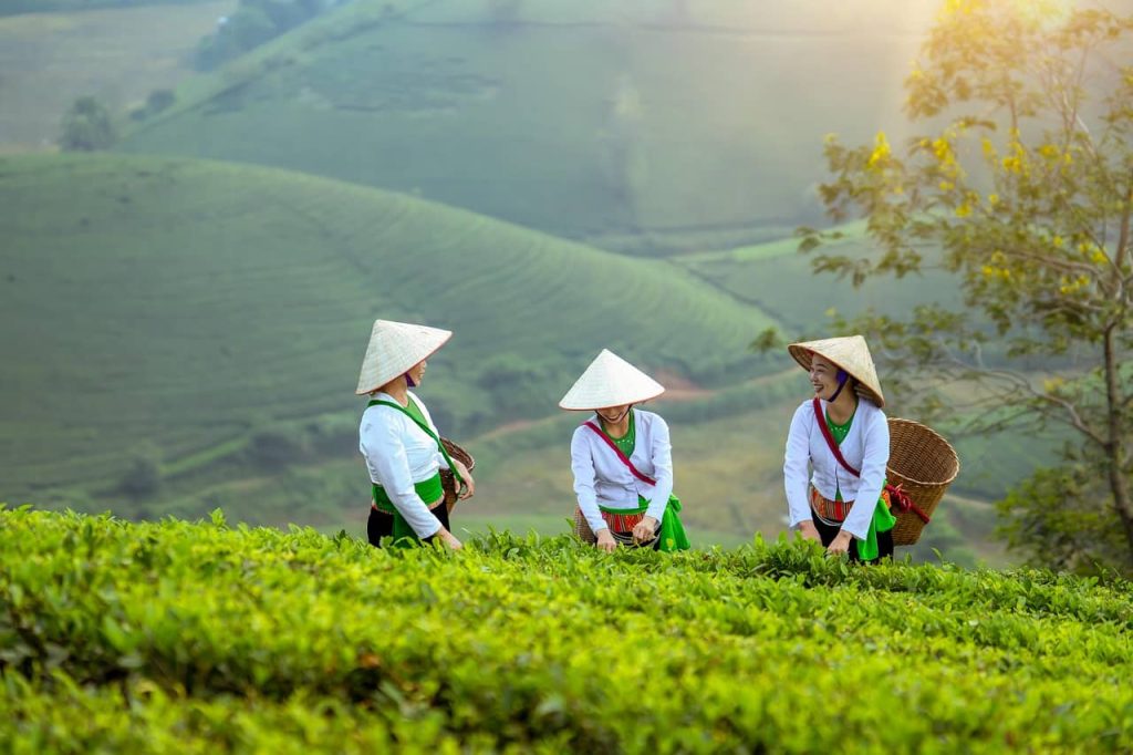 ethnie Thai au Vietnam