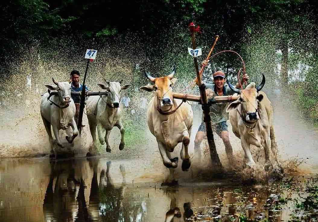 Chau Doc — Aux frontières du Cambodge