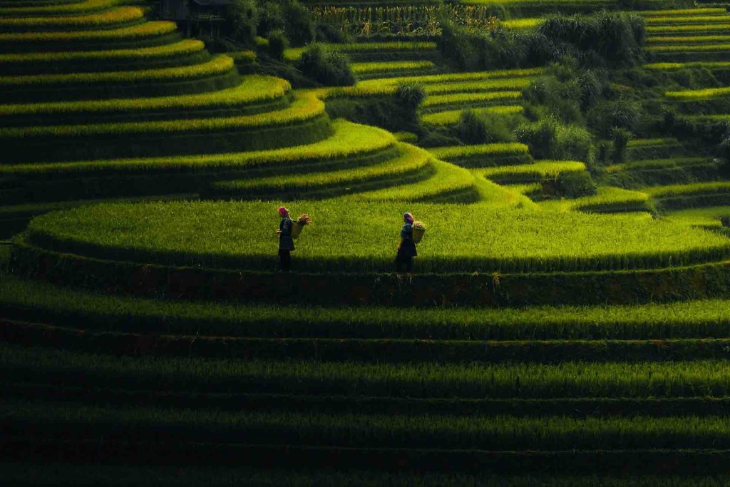 Circuit Nord Vietnam 21 jours