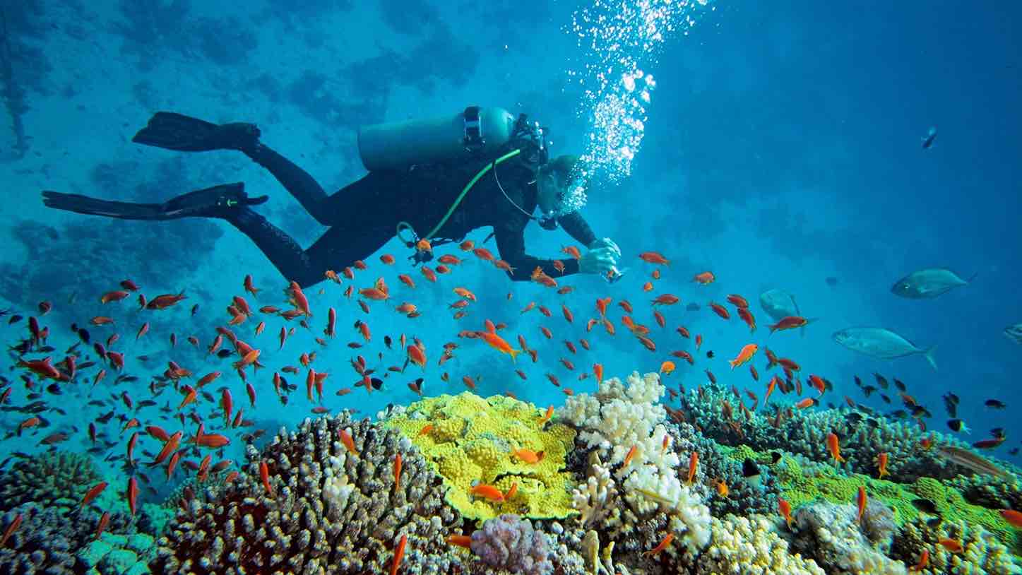 Nha Trang – Le Paradis balnéaire et culturel du Vietnam