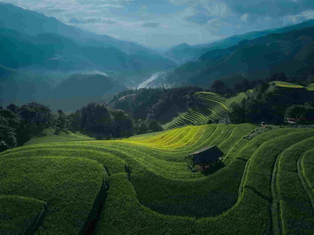 Voyage au Vietnam