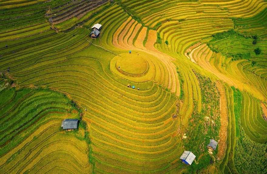 Rizières en terrasse Mu Cang Chai / Meilleures périodes à découvrir