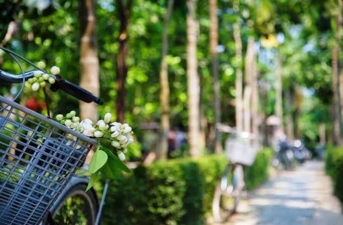 Village Thuy Bieu à Hue – Écotourisme, vergers de Pamplemousses et maisons Jardins