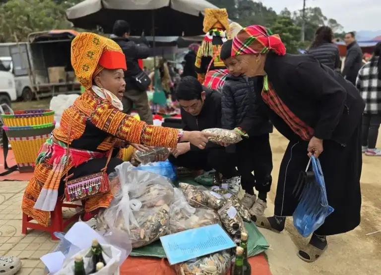 Marché ethnique au Nord Vietnam : Le guide complet jour par jour